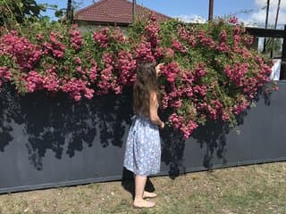 CreamRaspberrya
