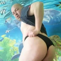 Luceriusbigass