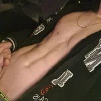 Dutch20Cock