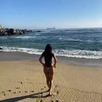 Liarmosca21