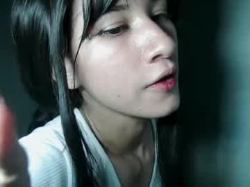 kitten_punches01