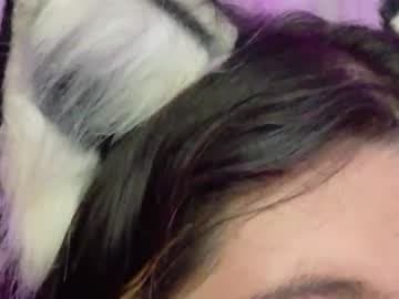 sachi_meow