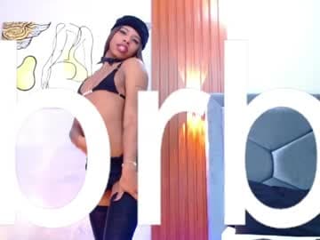 tayra1